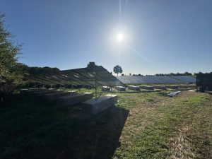 Solaranlage auf Freifläche für Gemeinde und Betriebe