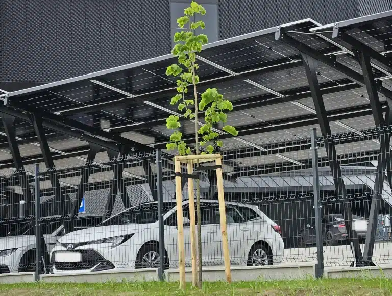 Blog 20 Solar-Carport