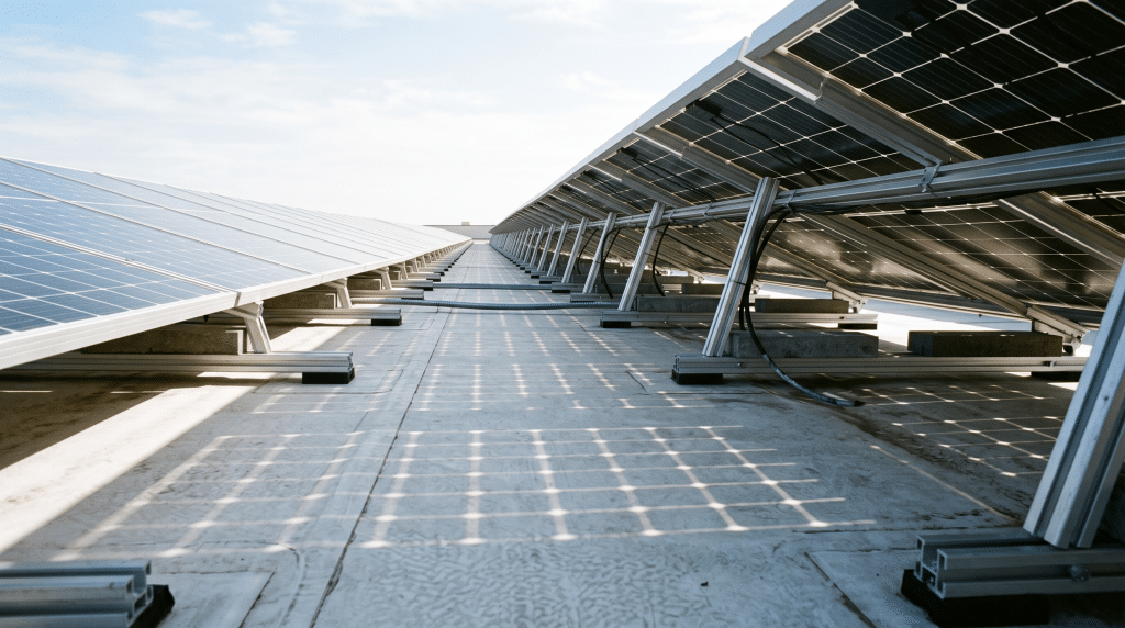 Aufgeständerte Solarmodule mit deutlichem Abstand über einer hellen Flachdachbahn, Modulrückseiten sichtbar